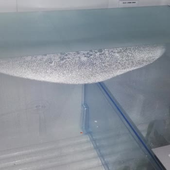 Bosch Buzdolabı Hayal Kırıklığı