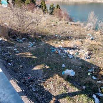 Konya Büyükşehir Belediyesi Altınapa Barajı'nda Çevre Kirliliği Tehlikesi