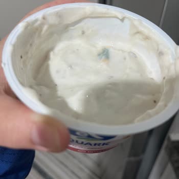 İçinden Küf Çıkan Sek Quark