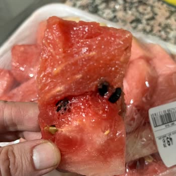 Ankara Podium Migros'tan Aldığım Bozuk Karpuz Hayal Kırıklığı