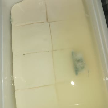 Pınar Et ve Süt Marketten Alınan Süzme Peynirin Küflü Çıkması