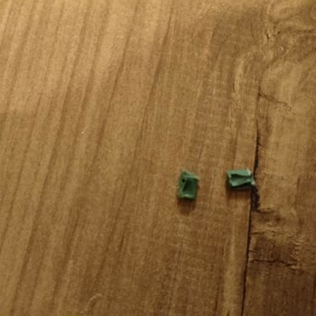 Evidea Maltepe Park Faciası