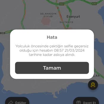 Martı Selfie Sorunu Acil