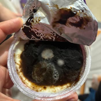 Eker Kazandibi Ve Profiterol