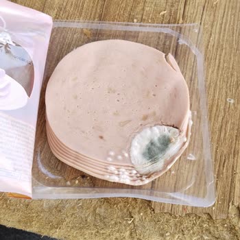 A101 Adana Çukurova Salbaş Mahallesi Lezita Aç Ye Küflenmesi