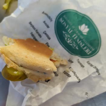 İBB - İstanbul Büyükşehir Belediyesi Hamburgerin Ekmeğinin Küflü Olması