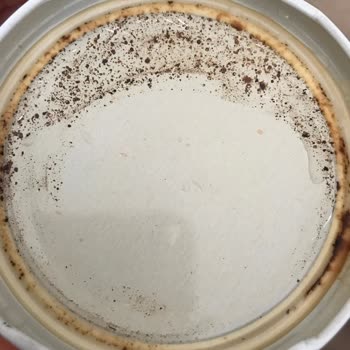 Metro Market Küflenmiş Enginar