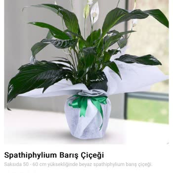 Çiçek Market Ürünümü Kusurlu Gönderdi