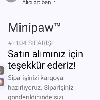 Minipaw.com.tr Kedim İçin Oyuncak Siparişi Ve Yaşanan Mağduriyet