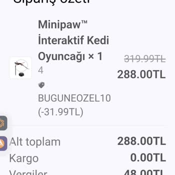 Minipaw.com.tr Kedim İçin Oyuncak Siparişi Ve Yaşanan Mağduriyet