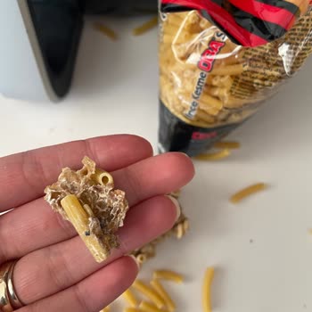 Oba Makarna Makarna İçinden Çıkan Kocaman Küflü Bozuk Kalıp Şeklindeki Şey