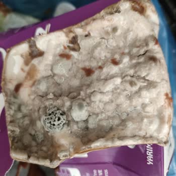 Migros Laktozsuz Sütün İçindeki Canavar