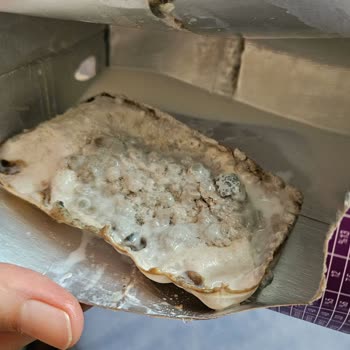 Migros Laktozsuz Sütün İçindeki Canavar