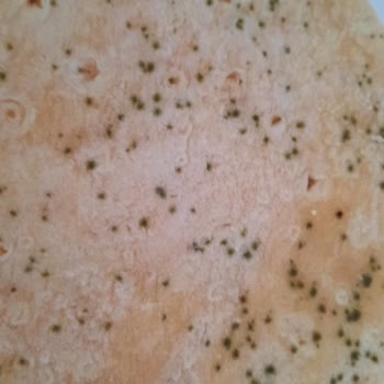 Doğan Yatağanlı Unlu Mamulleri Lavaş 24 Saat Dolmadan Balkonda Küflenmiş