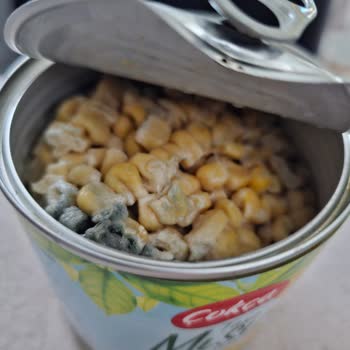 A101 Çokça Konserve Mısır Küflü Çıktı