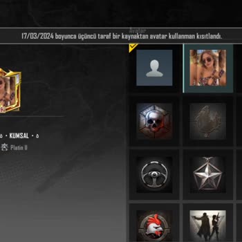 PUBG Mobile Profil Banı