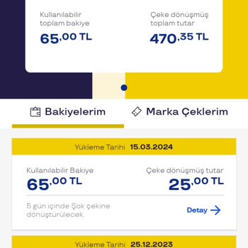 Pluxee Türkiye Alışveriş Kodu Mağduriyeti Ve Hesap Sorunu