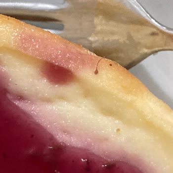 BİM Masante Cheesecake İçinden Kıl Çıktı