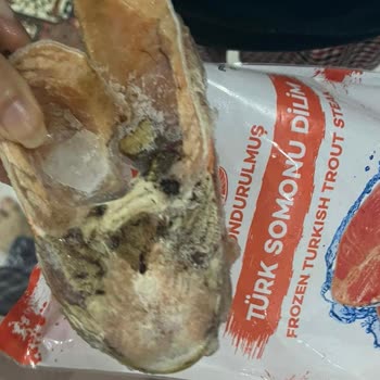 Balık Dünyası Somon Bozuk Çıktı