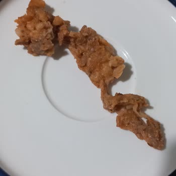 Edirne Öncü Döner Et Olmaması. Et Olmayan Yabancı Parça Çıkması