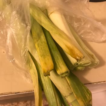 Migros Sanal Market Siparişimdeki Çürük Sebze