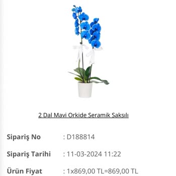 Salonbitkileri.com Salonbitkileri.cok Teslim Edilmeyen Çiçek Siparişi