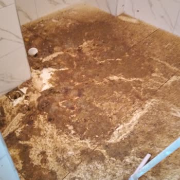 İlkadım Belediyesi Kanalizasyon Rögar Tıkanıklığı