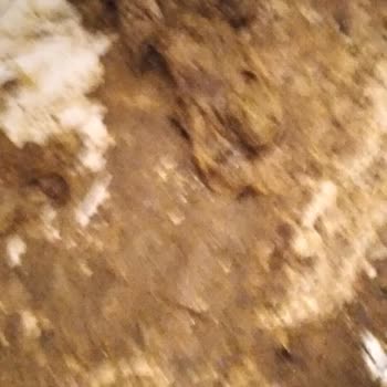 İlkadım Belediyesi Kanalizasyon Rögar Tıkanıklığı