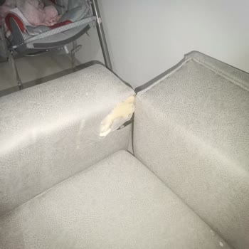 Akçay AVM Samsun Akçay Halıcılık Pişmanlık Ve İlgisizlik