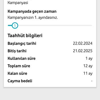 Vodafone Yeni Red Sınırsız Eğlence 60 GB Netflix Kotadan Harcıyor