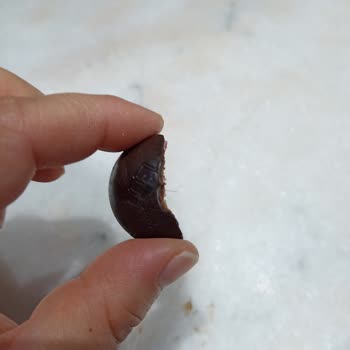 Eti Gıda Eti Karam Bitter Çikolata İçinden Kıl Çıktı