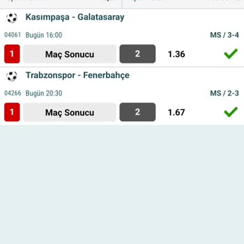 Nesine Para Hesabıma Yatmadı