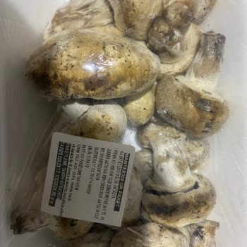 Şok Market Bozuk Ürün Satıyor