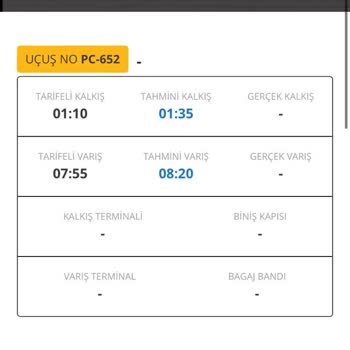 Pegasus Sistemlerinin Yanlış Bilgi Vermesinden Dolayı Uçuşumu Kaçırdım
