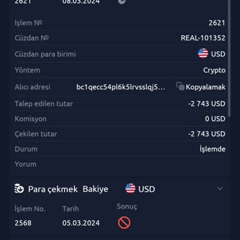 Skype Yatırım Mağduriyeti