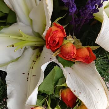 Çiçek Sepeti Kadınlar Günü Mağduriyeti