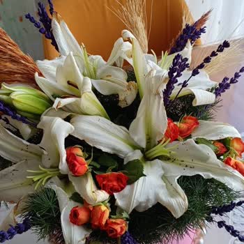 Çiçek Sepeti Kadınlar Günü Mağduriyeti