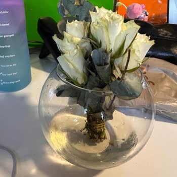 ÇiçekSepeti Çok Kötü Ürün