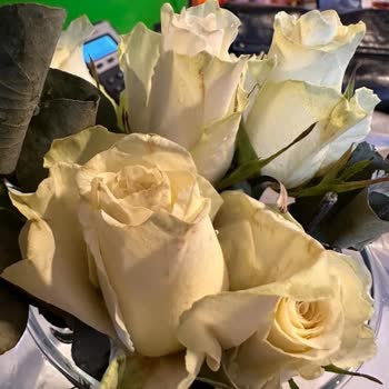 ÇiçekSepeti Çok Kötü Ürün