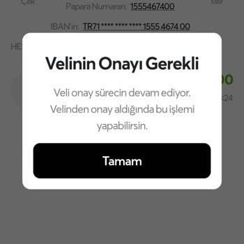 Papara Veli Onaylaması Kabul Etmiyor