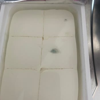 Pınar Et ve Süt Süzme Peynirde Küflenme Sorunu