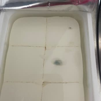 Pınar Et ve Süt Süzme Peynirde Küflenme Sorunu