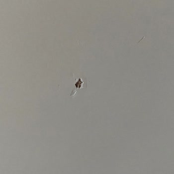 Kelebek Mobilya Defolu Mobilyalar Geldi!