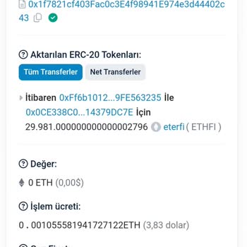 Telegram Kripto Para Transferinde Yaşanan Mağduriyet