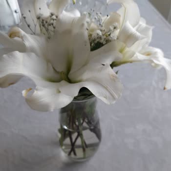 Çiçek Sepeti Şikayetleri Dikkate Almıyor