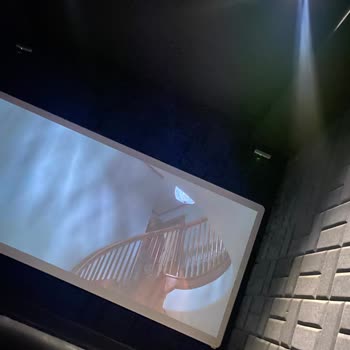Cinema Pink Pelican AVM Sinema