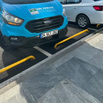 İBB - İstanbul Büyükşehir Belediyesi Yeni Doğmuş, Annelerinin Emzirmediği Kediler V Belediye Umursamazlığı.