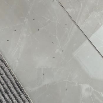 Rabia Özkan Design Satın Alınan Ürünün Kusurlu Çıkması Ve İade Sorunu