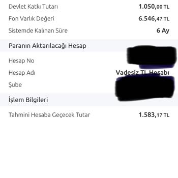 Allianz Hayat ve Emeklilik Bireysel Emeklilikte Beklenmedik Kayıplar