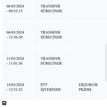 PTT Kargo PTT Gümrük Kargo Sorunu SHEIN